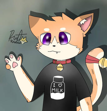 KimaCats